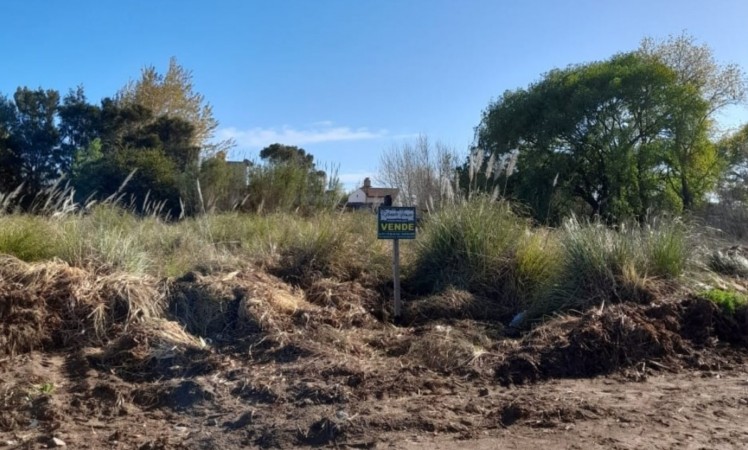4 lotes baldios LINDEROS